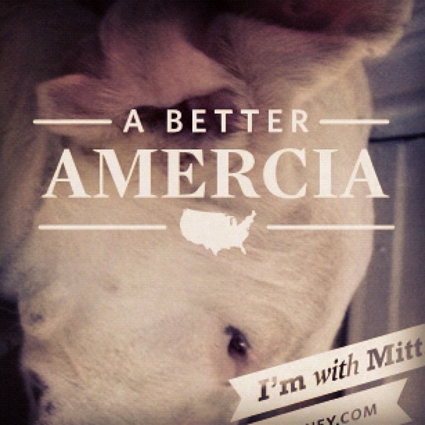 Mitt Romney app shows the Republican presidential nominee is for "A Better Amercia". (Photo by Philip Bump)