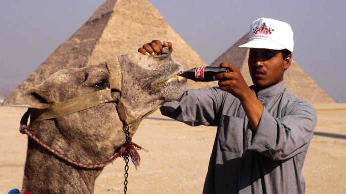 A camel driver at the Giza Pyramids shows off to potential customers that his camel is a fan of Coca Cola. (Ph. Norbert Schiller)