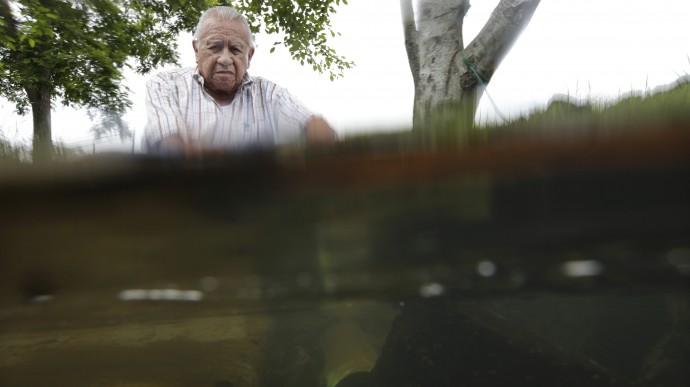 Billy Frank Jr., Chairman of the Northwest Indian Fisheries Commission, poses for a photo, Friday, June 29, 2012, at Frank's Landing near Olympia, Wash. with the waters of Nisqually River captured by a partially submerged camera. Frank is one of several leaders of American Indian tribes in western Washington who say their treaty rights with the U.S. are at risk because the region is losing habitat that salmon need to survive. (AP Photo/Ted S. Warren)