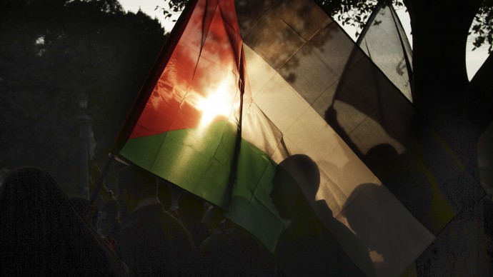 A Egyptian woman waves the Palestinian flag during a protest in solidarity with Gaza after Israel launched its operation on Wednesday with the assassination of Hamas' top military commander in Cairo, Egypt, Thursday, Nov. 15, 2012. (AP Photo/Nariman El-Mofty)