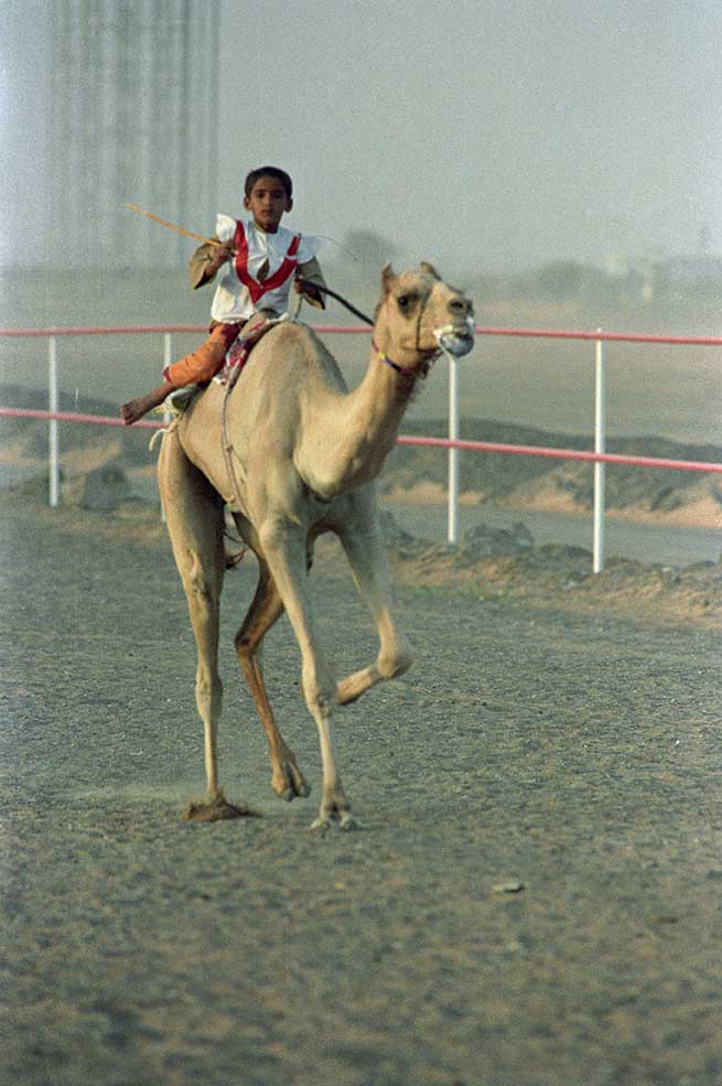 Child camel jockeys from the Indian sub-continent racing camels on a 6-km desert course near Dubai in October 1987. (Photo by Norbert Schiiller)