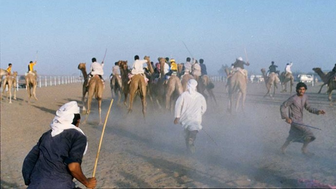 Child camel jockeys from the Indian sub-continent racing camels on a 6-km desert course near Dubai in October 1987. At the start of the race young men, who I call “chasers,” stand behind the camels yelling and hitting the camels with sticks to make them faster at the start. (Photo by Norbert Schiller)